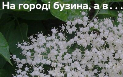 На Харьковщине агитационный плакат разместили на земельном участке… на втором этаже здания