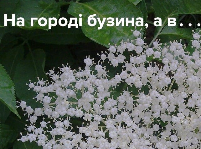 На Харьковщине агитационный плакат разместили на земельном участке… на втором этаже здания